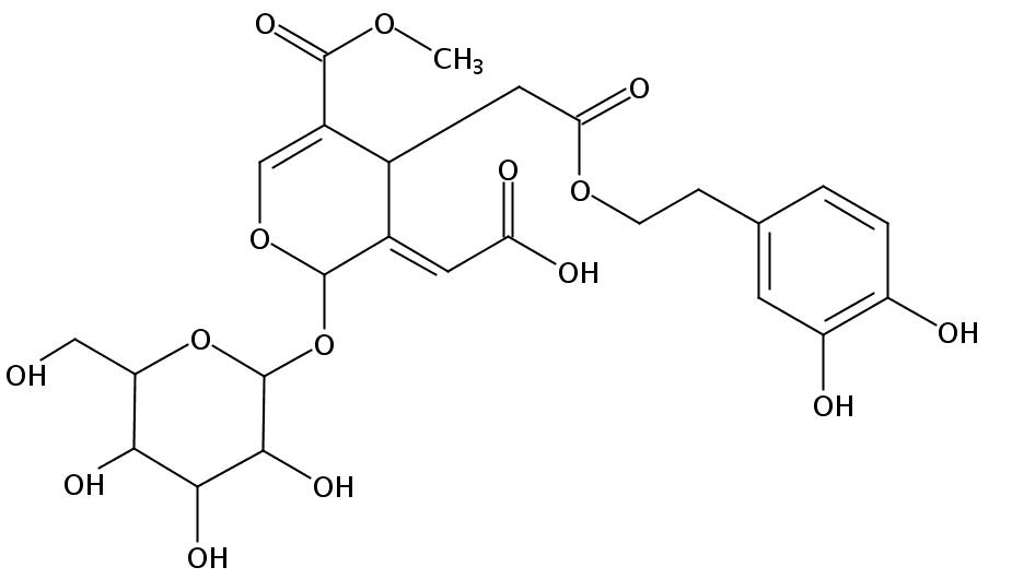 橄欖苦苷酸 | CAS No.96382-90-0