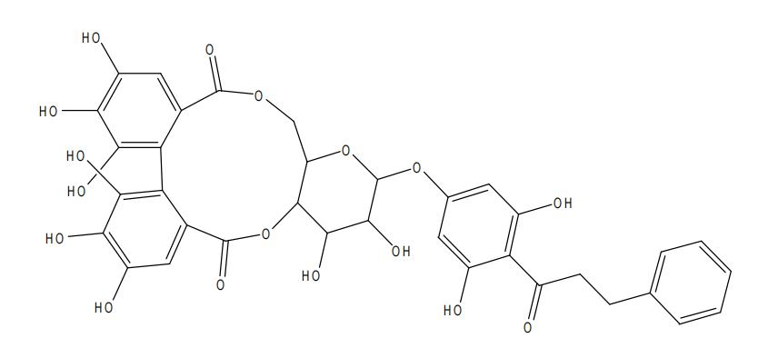 趕黃草苷B | CAS No.271579-12-5