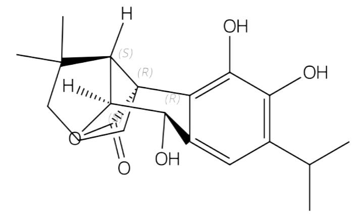 馬兜鈴內(nèi)酰胺 IIIa | CAS No.97399-89-8