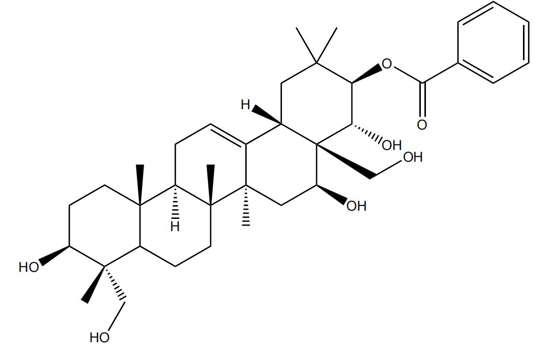 21-O-苯甲?；赘傩萝赵?/></div>
								  <div   id=