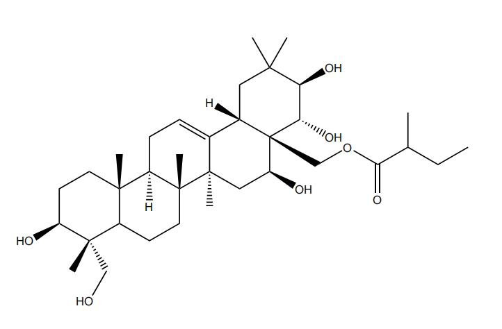 28-O-2S-甲基丁?；赘傩萝赵?/></div>
								  <div   id=