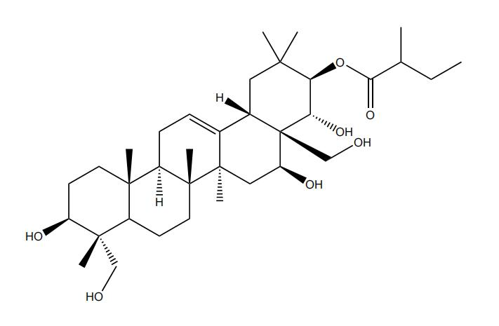 21-O-2S-甲基丁?；赘傩萝赵?丨CAS No.1581276-60-9