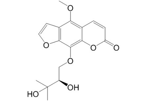 白當歸素 丨CAS No.482-25-7