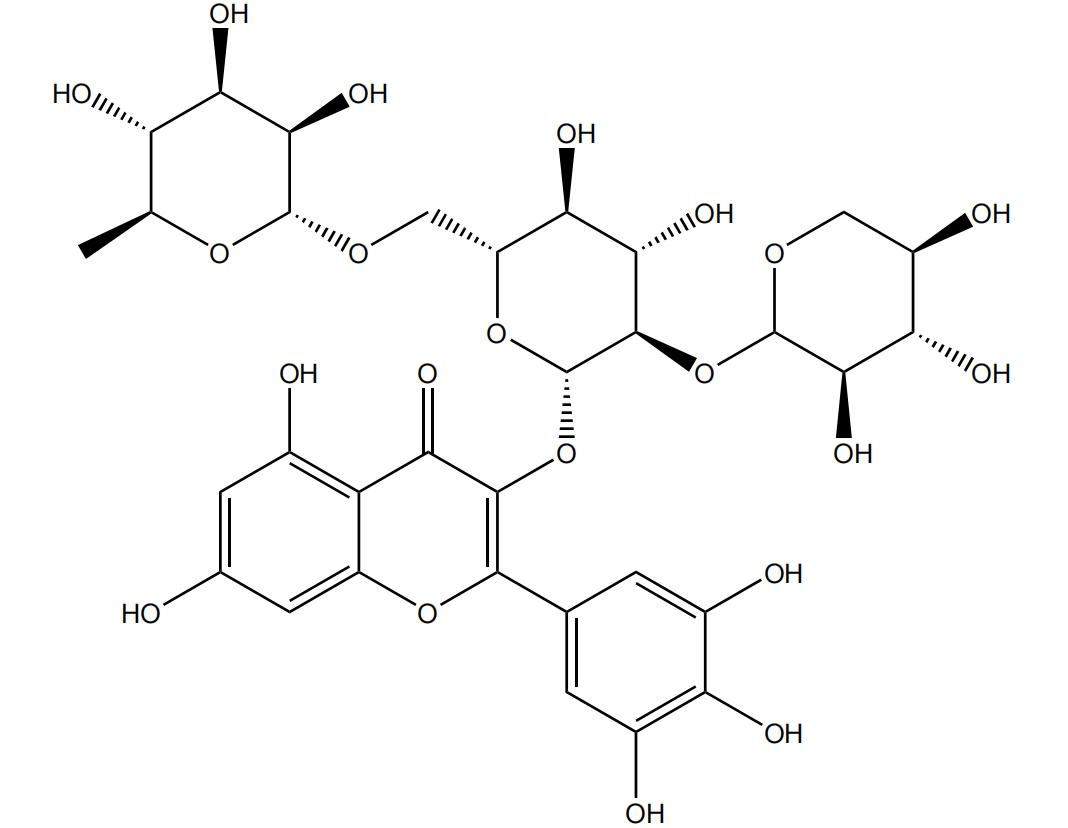 楊梅素-3-O-β-D-吡喃木糖基 貨號(hào)丨DY0720