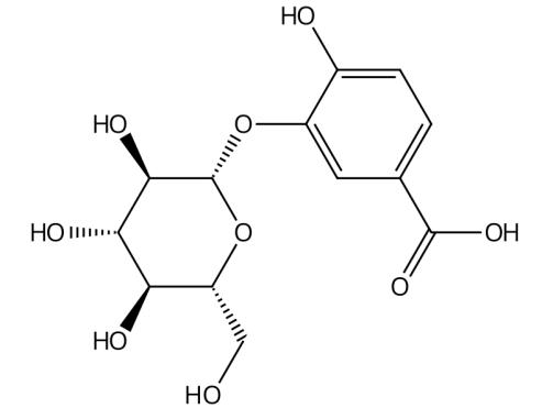 原兒茶酸-3-O-β-D-葡萄糖苷 丨CAS No.20300-54-3