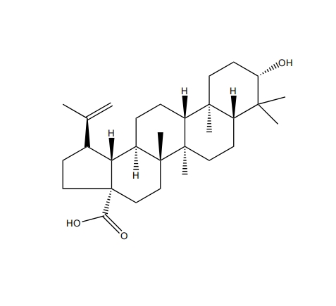 白樺脂酸 CAS：472-15-1 中藥對(duì)照品 標(biāo)準(zhǔn)品