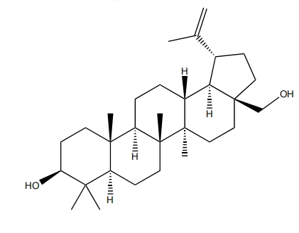 白樺脂醇 CAS：473-98-3 中藥對(duì)照品 標(biāo)準(zhǔn)品