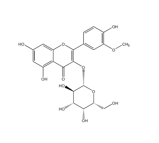 異鼠李素-3-O-半乳糖苷 CAS：6743-92-6中藥對(duì)照品標(biāo)準(zhǔn)品