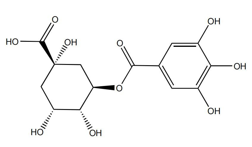 3-沒食子?；鼘幩?| CAS No.17365-11-6